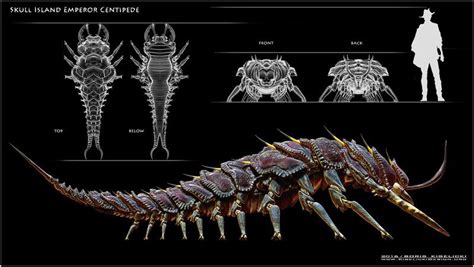  ヒルゼングー 多くの足を持つ生物の王者、地下世界の支配者！