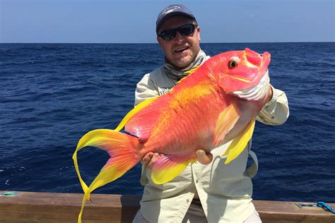  ヨウクン！鮮やかな色彩と独特の形状で魅了する深海魚